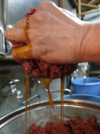 明日の紅花染めの準備 草木工房